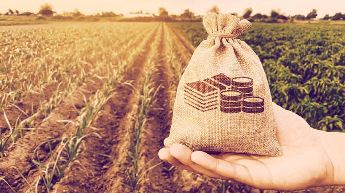 Yield Farming là gì? Vai trò và hoạt động của Yeild Farming trong DeFi |  Review Invest