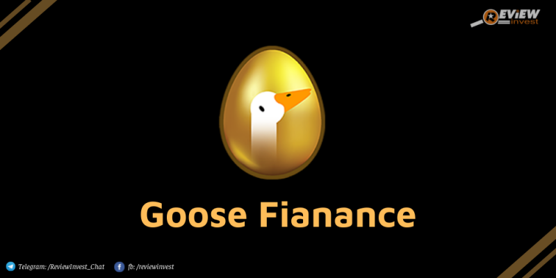 Goose Finance