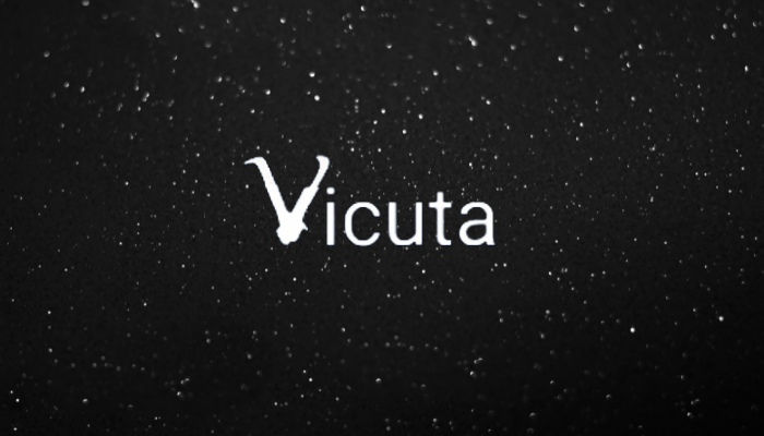 Vicuta là sàn giao dịch với hơn 200 đồng mã hóa khác nhau