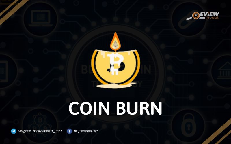 Coin Burn là gì?