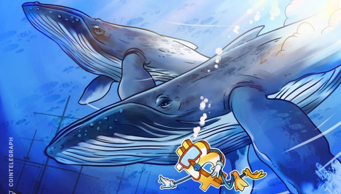  Sử dụng Glassnode để phân tích Whale đang dự trữ bao nhiêu Bitcoin