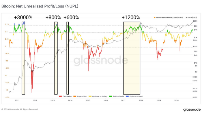 Chỉ số Net Unrealized Profit/Loss ( NUPL)