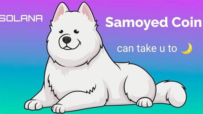 Ví lưu trữ Samoyedcoin Token là ví Phantom