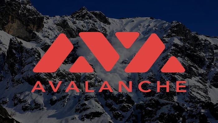 Avalanche (AVAX) là gì?