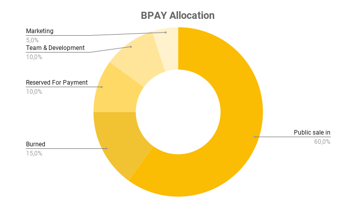 Biểu đồ phân bổ BNBPay Token