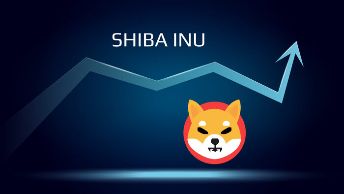 Shiba-Inu