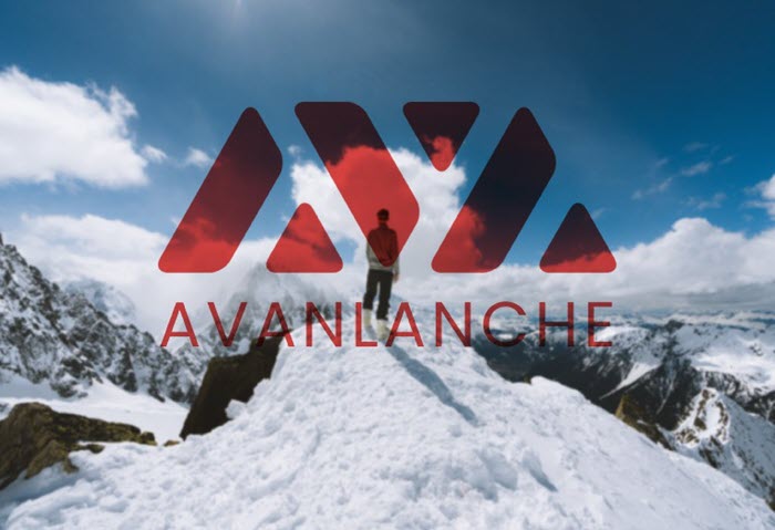 Avalanche tiếp tục tăng trưởng mạnh