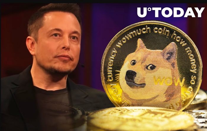 Elon Musk cho rằng Dogecoin phù hợp giao dịch hơn Bitcoin