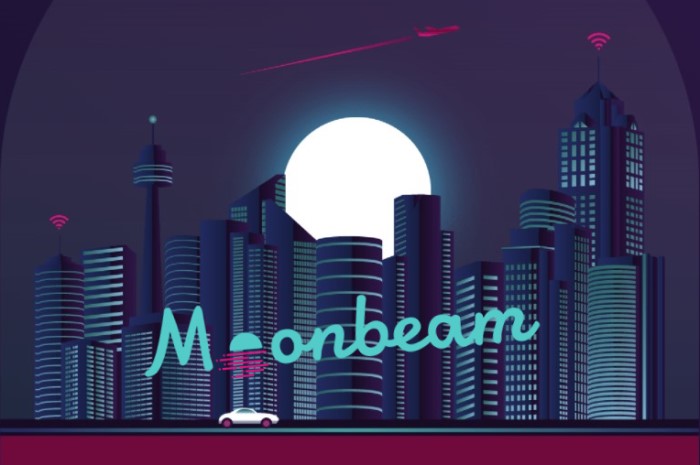 Moonbeam Network