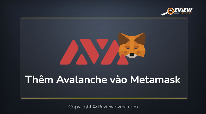 Hướng dẫn thêm mạng Avalanche vào Metamask | Review Invest