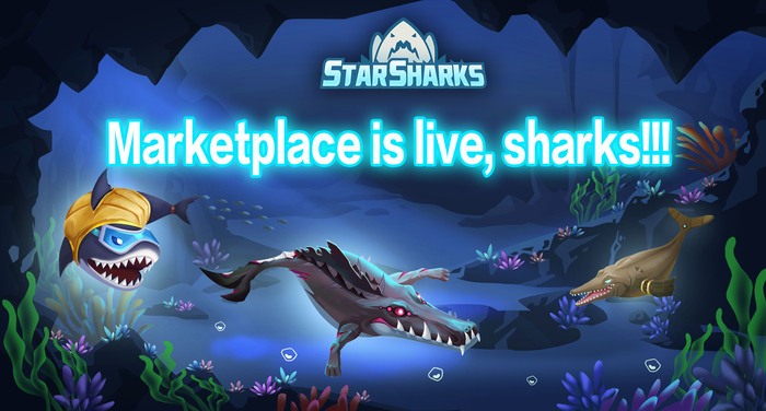 Hệ thống Marketplace của StarSharks