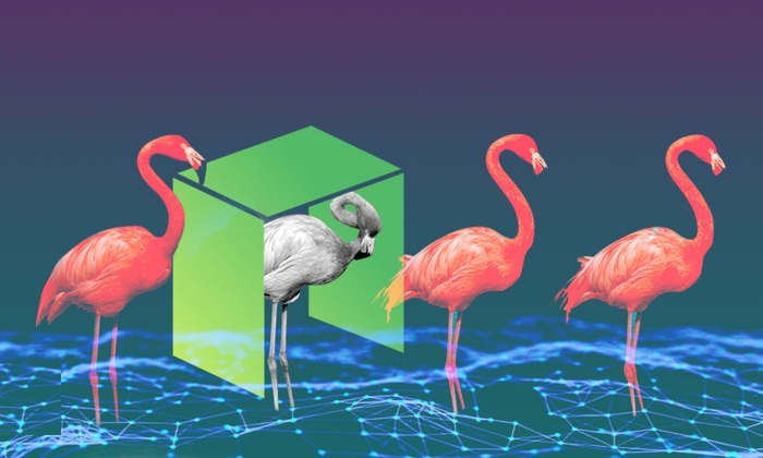 Flamingo đặt mục tiêu trở thành bàn đạp thúc đẩy sự phát triển hệ sinh thái DeFi của Neo.