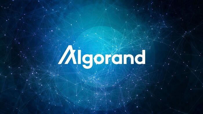 Algorand - một nền tảng blockchain mã nguồn mở được ra mắt vào năm 2019