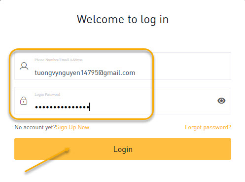 Nhập Email Address và password đã đăng ký. Ấn Login.