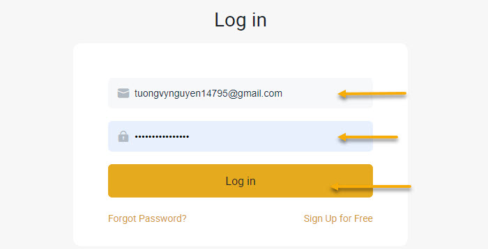 Điền địa chỉ email và mật khẩu, rồi ấn Log in.