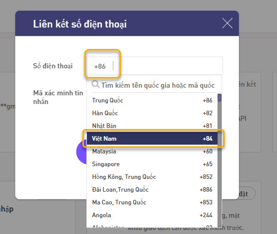 Tìm đầu số điện thoại của Việt Nam +84.