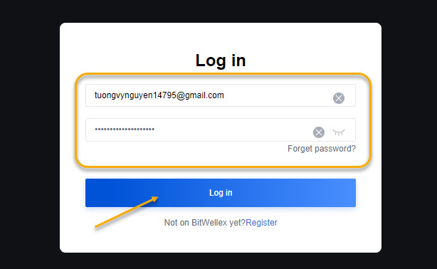 Điền địa chỉ Email và password vào. Sau đó ấn Login.