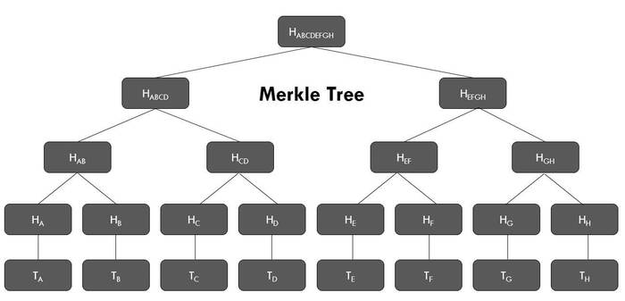 Sử dụng Merkle Tree giúp phát hiện bất kỳ thay đổi nào trong số dư của người dùng do đó các tổ chức không thể giả mạo số dư, tạo ra môi trường an toàn và minh bạch trong giao dịch